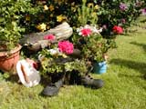 Back garden - flowers in Mark's old boots - Summer 2002