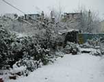 Back garden in the snow January 2003